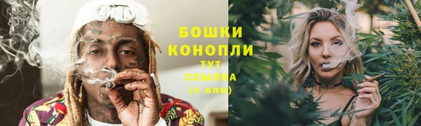 прущий лед Абаза