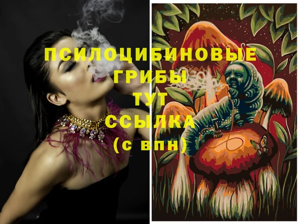 a pvp Абинск
